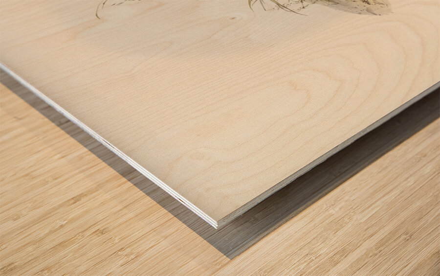 Chestnut-bellied Rail Eulabeornis castaneoventris illustrated by Elizabeth Gould 1804–1841 for John Gould’s 1804-1881 Birds of Australia  Wood print