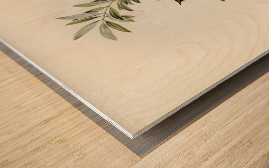 Grey-breasted Zosterops Zosterops tephropleurus illustrated by Elizabeth Gould 1804–1841 for John Gould’s 1804-1881 Birds of Australia  Wood print