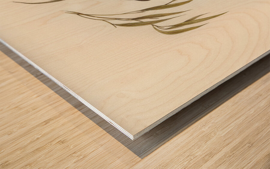 Red-throated Honey-eater Entomophila rufogularis illustrated by Elizabeth Gould 1804–1841 for John Gould’s 1804-1881 Birds of Australia  Wood print