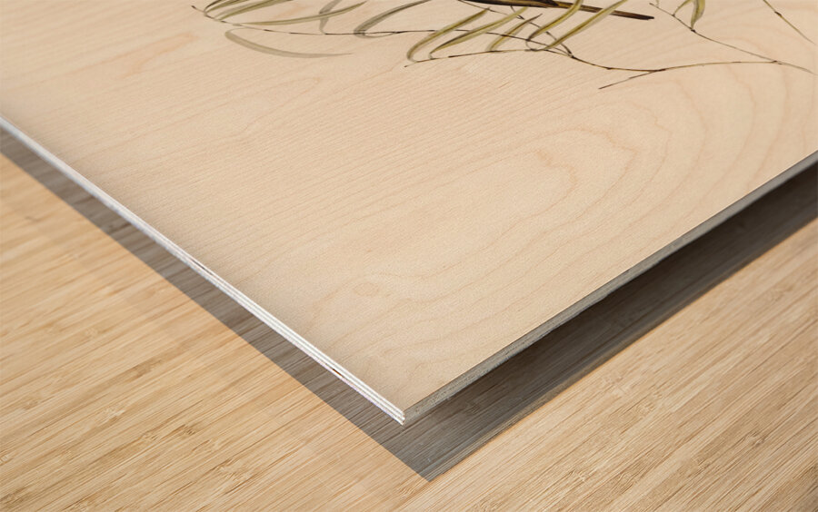 Graceful Honey-eater Ptilotis ornatus illustrated by Elizabeth Gould 1804–1841 for John Gould’s 1804-1881 Birds of Australia  Wood print