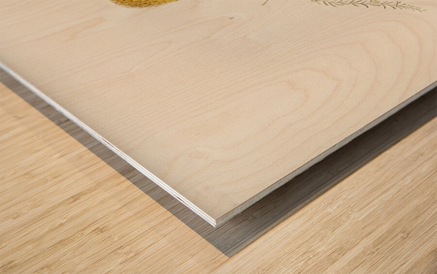 Little Acanthiza Acanthiza nana illustrated by Elizabeth Gould 1804–1841 for John Gould’s 1804-1881 Birds of Australia  Wood print