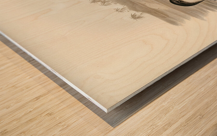 Cooks Petrel Procellaria Cookii illustrated by Elizabeth Gould 1804–1841 for John Gould’s 1804-1881 Birds of Australia  Wood print