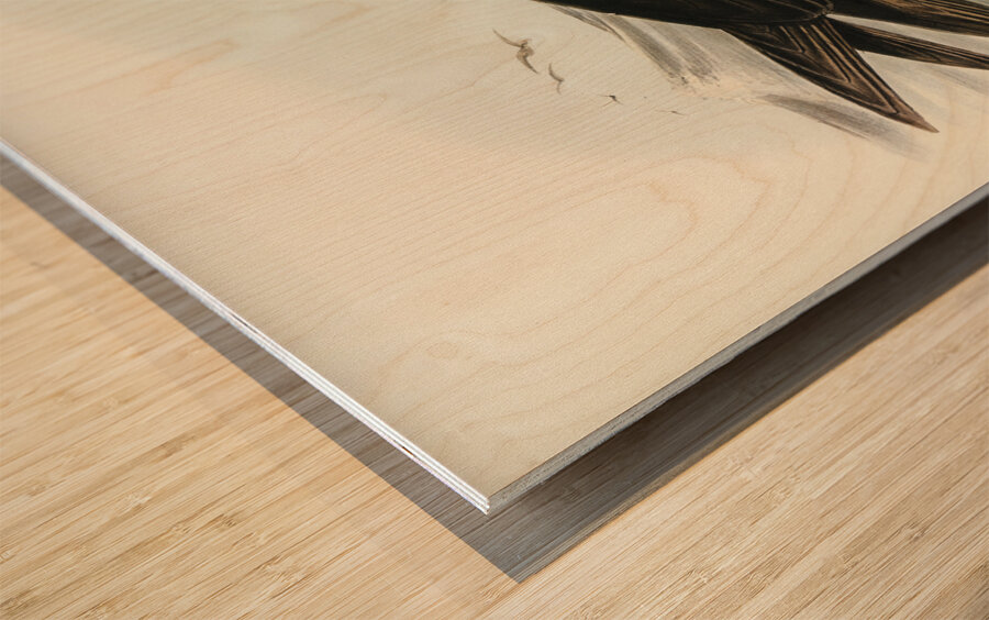 Giant Petrel Procellaria gigantea illustrated by Elizabeth Gould 1804–1841 for John Gould’s 1804-1881 Birds of Australia  Wood print