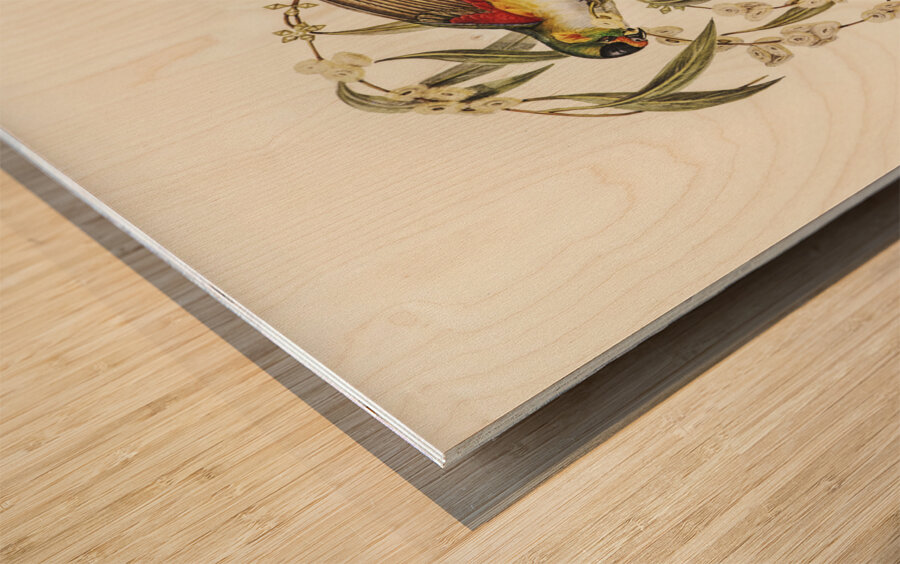 Little Whimbrel Numenius minutus illustrated by Elizabeth Gould 1804–1841 for John Gould’s 1804-1881 Birds of Australia  Wood print