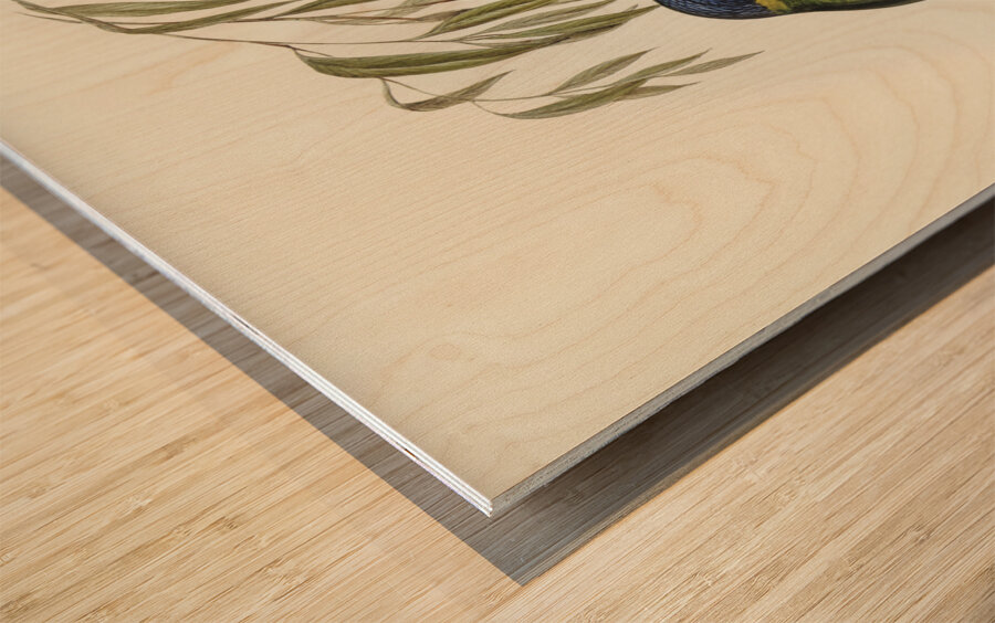 Australian Curlew Numenius Australis illustrated by Elizabeth Gould 1804–1841 for John Gould’s 1804-1881 Birds of Australia  Wood print