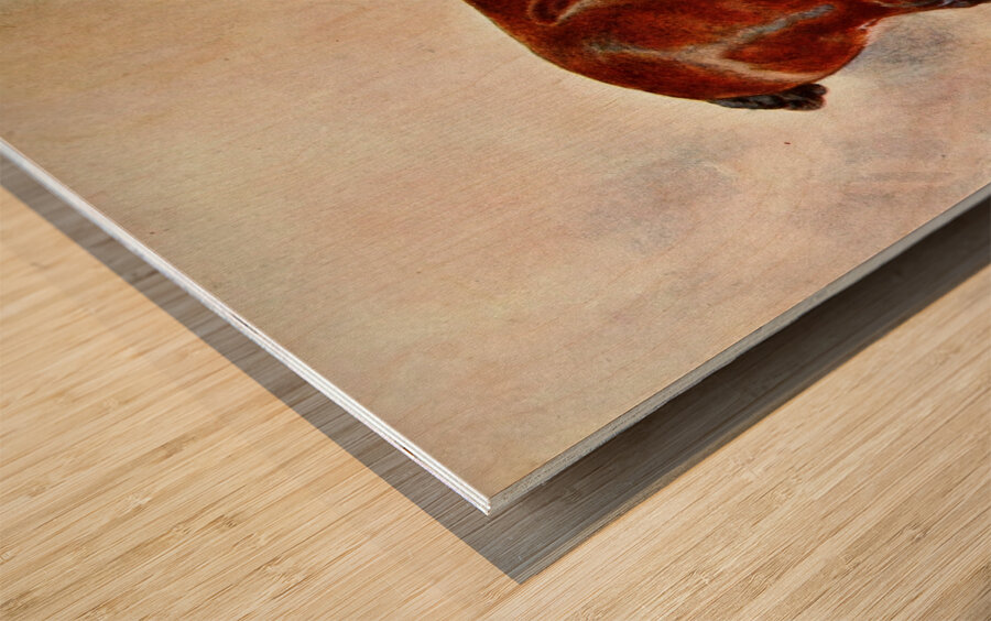 Clydesdale Stallion Prince of Albion Frank Babbage English 1858–1916 Wood print