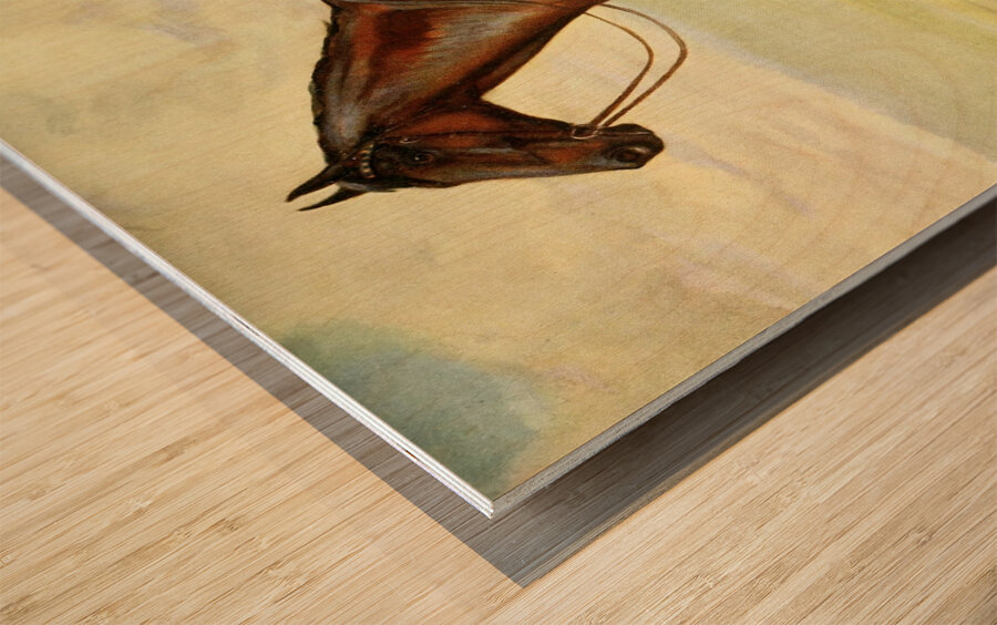 Minoru John Hanson Walker Jr. English 1844-1933 Wood print