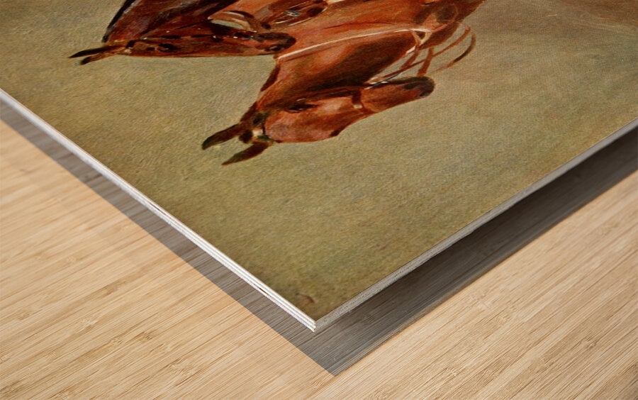 Polo Ponies Romany And Tith Owned By Sir J. Barker Frederic Whiting English 1874–1962 Wood print