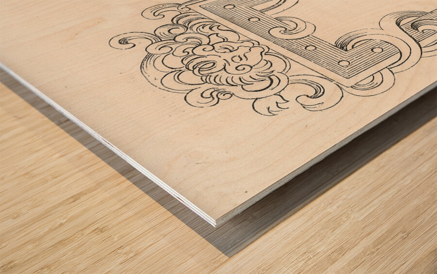 Antique Chinese illustration. 1888 edition Lornement Polychrome by Albert Racine 1825–1893. Wood print