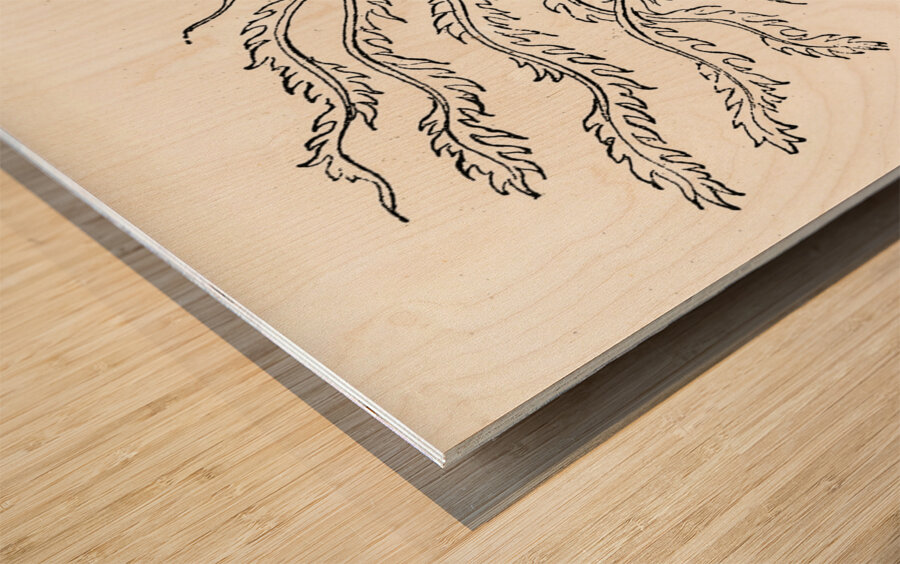 Antique Chinese illustrations. 1888 edition Lornement Polychrome by Albert Racine 1825–1893. Wood print