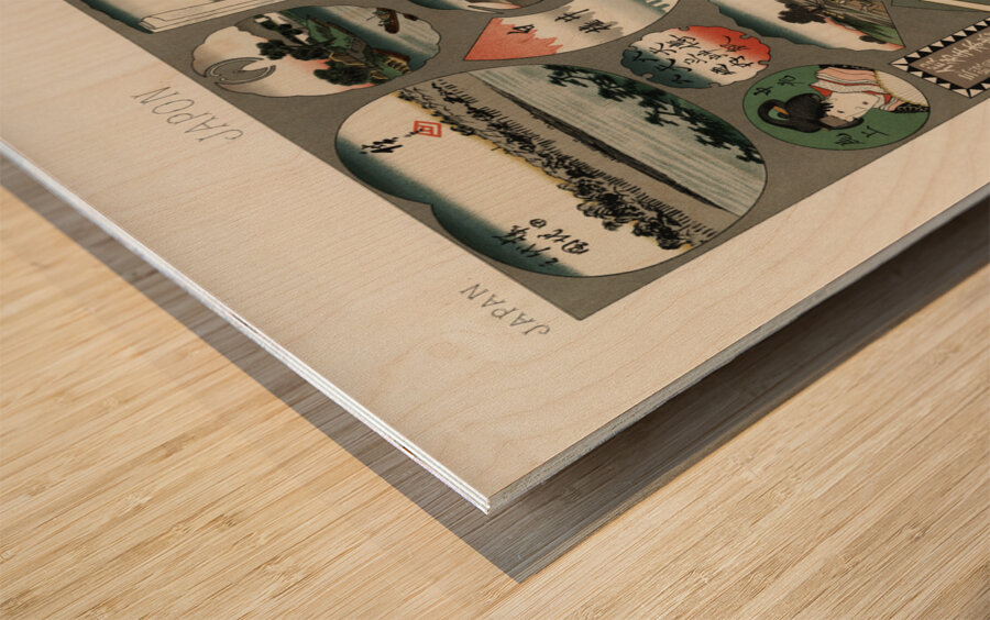 Japan pattern Lornement Polychrome 1888 by Albert Racinet 1825-1893. 1888 edition. Wood print