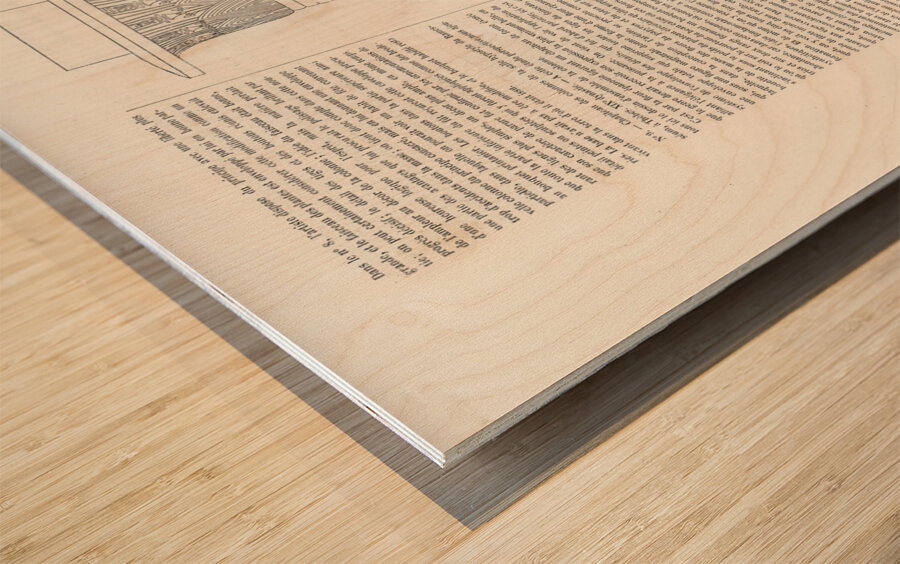 Ancient Egyptian decorative motif. 1888 edition Lornement Polychrome by Albert Racine 1825–1893. Wood print