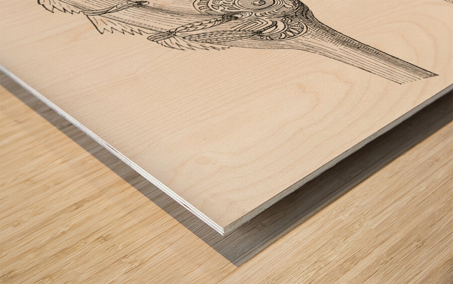 decorative motifs on weapons. 1888 edition Lornement Polychrome by Albert Racine 1825–1893. Wood print