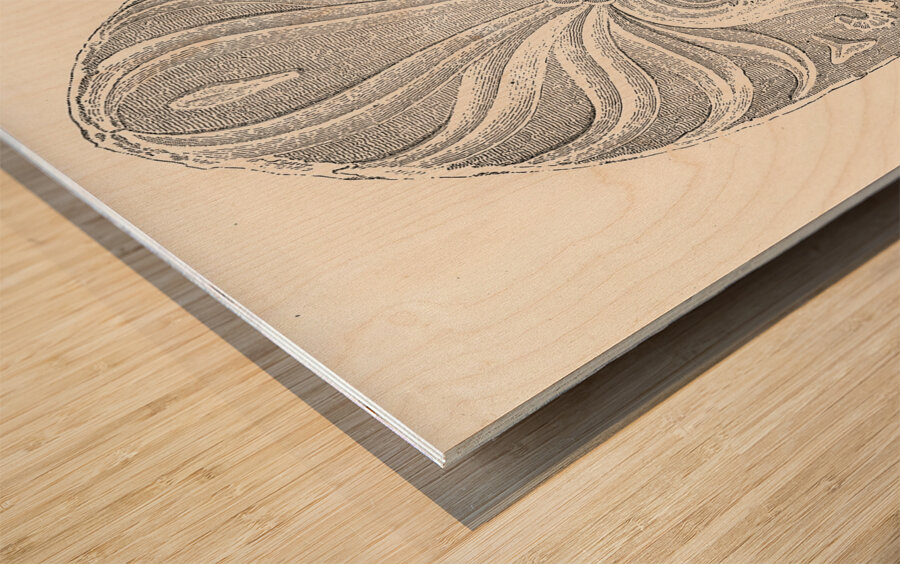 Anatolian Asia Minor pattern. 1888 edition Lornement Polychrome by Albert Racine 1825–1893. Wood print