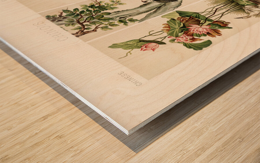 Chinese pattern. 1888 edition Lornement Polychrome by Albert Racine 1825–1893. Wood print