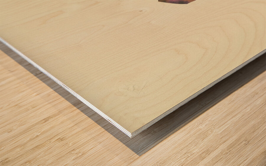 ‘Hier ist zu sehen das Sorgenkind …’ 1932  My Pictures Become Wilder and Wilder By John Elsas Wood print