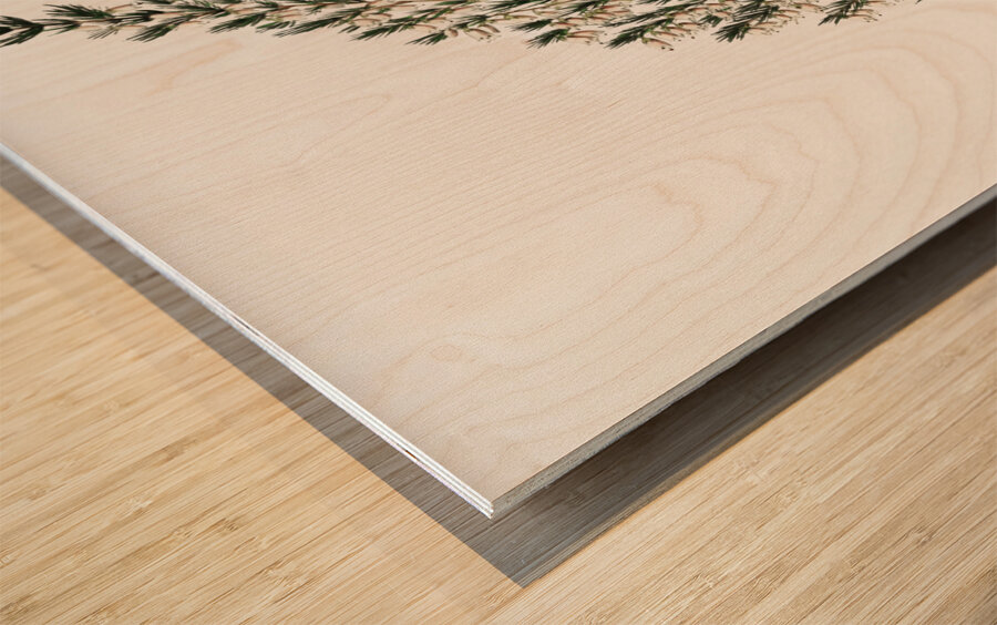 Bell-bearing heath from Edwards Botanical Register 1829-1847  by Sydenham Edwards John Lindley and James Ridgway. Wood print