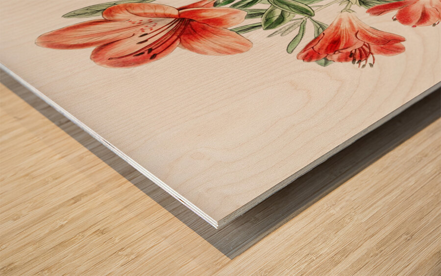 The brick-red Chinese azalea from Edwards Botanical Register 1829-1847  by Sydenham Edwards John Lindley and James Ridgway. Wood print