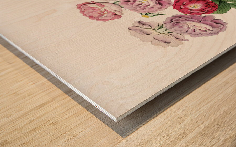 The seven sisters rose from Edwards Botanical Register 1829-1847  by Sydenham Edwards John Lindley and James Ridgway. Wood print