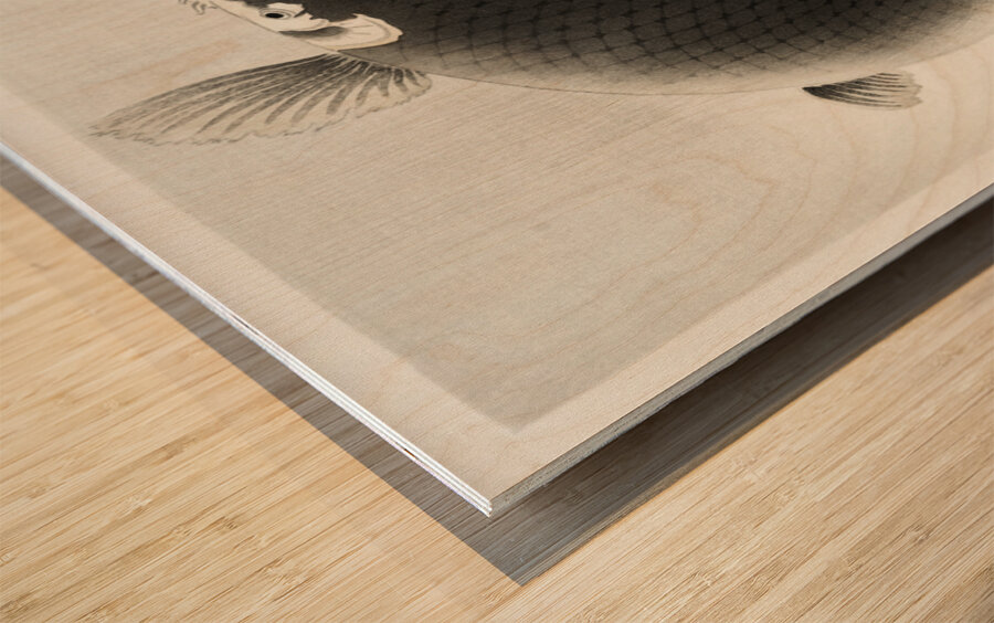 Leaping carp 1900 - 1930 by Ohara Koson 1877-1945. Wood print