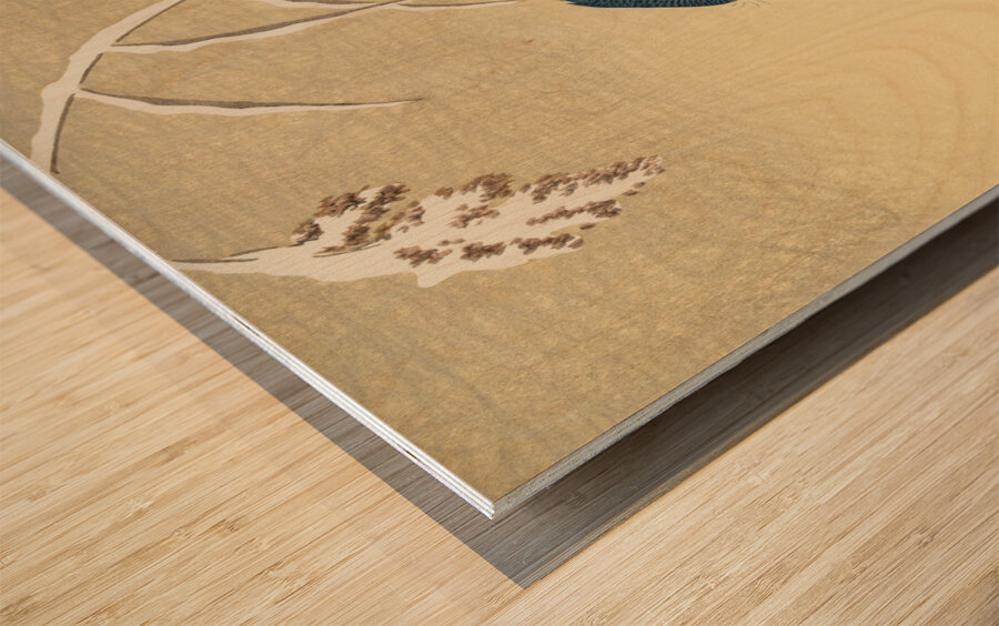 Kingfisher in the snow 1925-1936 by Ohara Koson 1877-1945 Wood print