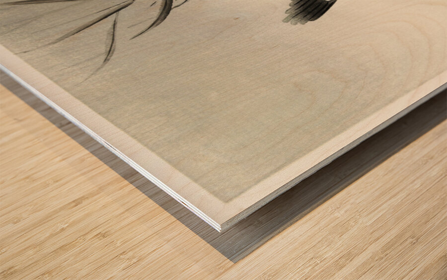 Kingfisher hunting for fish in the water 1900 by Ohara Koson 1877-1945. Wood print