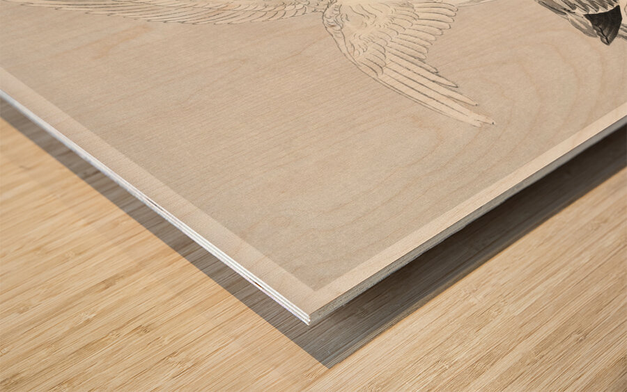 Two pigeons 1877-1945 by Ohara Koson 1877-1945. Wood print