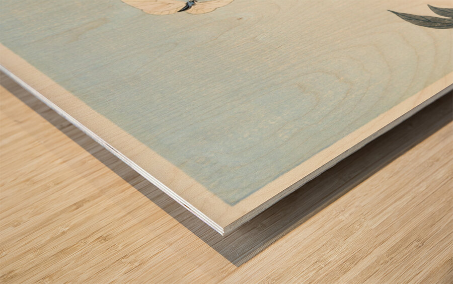 Peony with butterfly 1925 - 1936 by Ohara Koson 1877-1945. Wood print