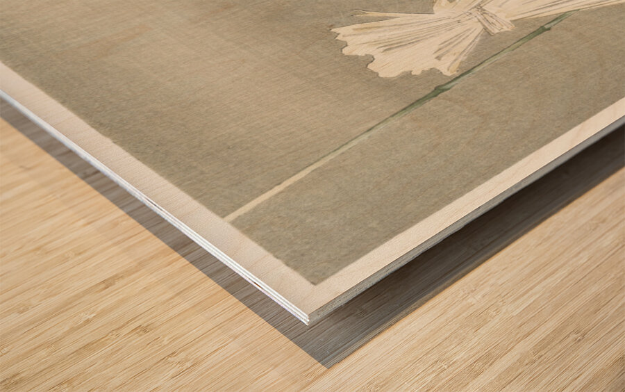 A bird with narcissus flowers and a hay bundle 1900-1930 by Ohara Koson 1877-1945. Wood print