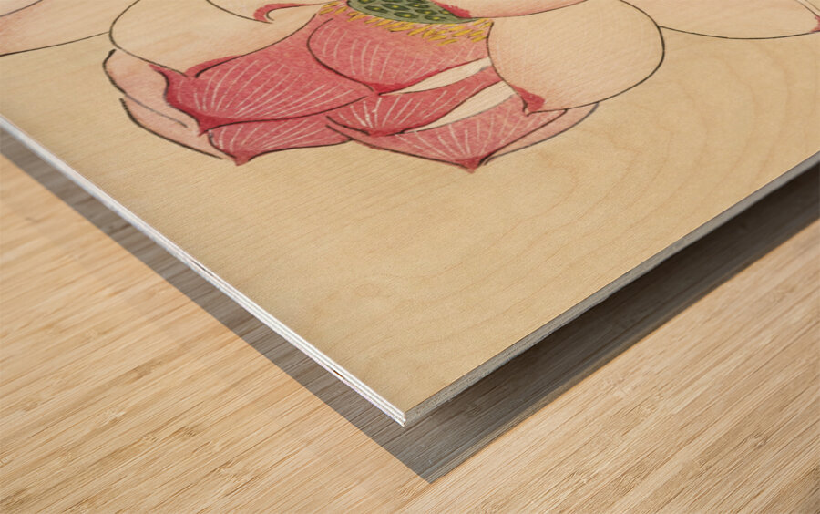 Gallinule with Lotus Flowers 1900 - 1930 by Ohara Koson 1877-1945. Wood print