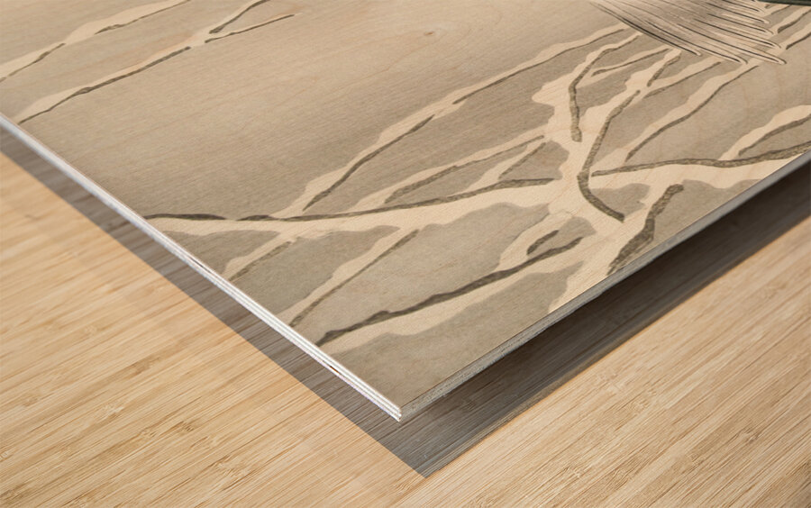 Emerge on snowy branch 1900 - 1930 by Ohara Koson 1877-1945. Wood print