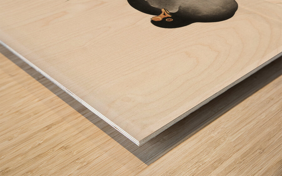 Torii in the snow 1900 - 1910 by Ohara Koson 1877-1945. Wood print