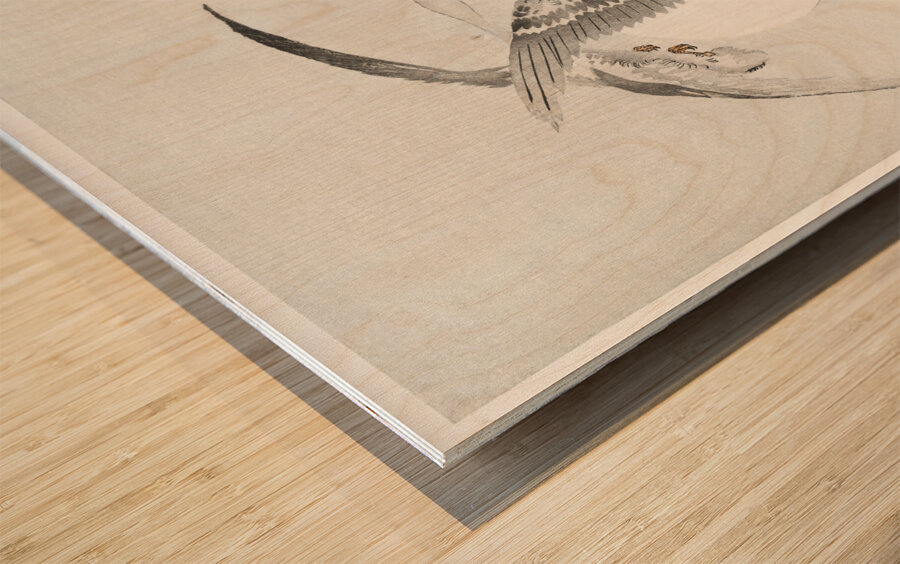 Two colt geese in flight 1900 - 1930 by Ohara Koson 1877-1945. Wood print