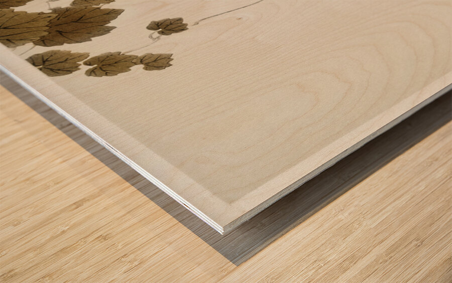 Bird in downward flight 1900 - 1930 by Ohara Koson 1877-1945. Wood print