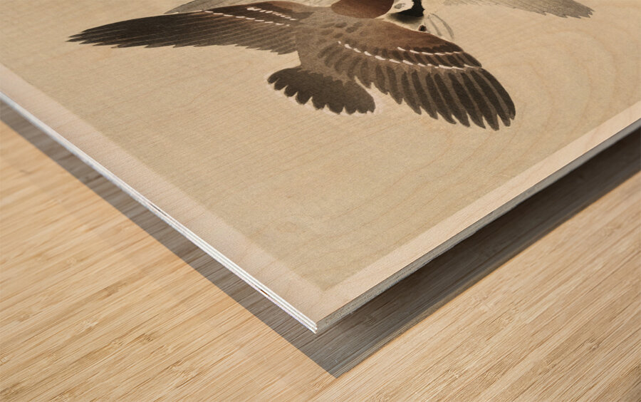 Ring sparrows and insect 1900 - 1936 by Ohara Koson 1877-1945. Wood print