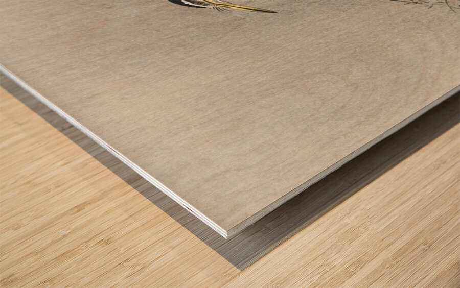 Kwak on branch 1900 - 1936 by Ohara Koson 1877-1945. Wood print