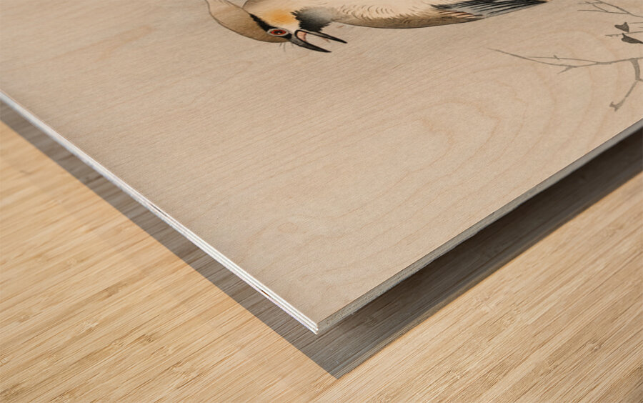 Japanese plague bird on branch 1900 - 1910 by Ohara Koson 1877-1945. Wood print