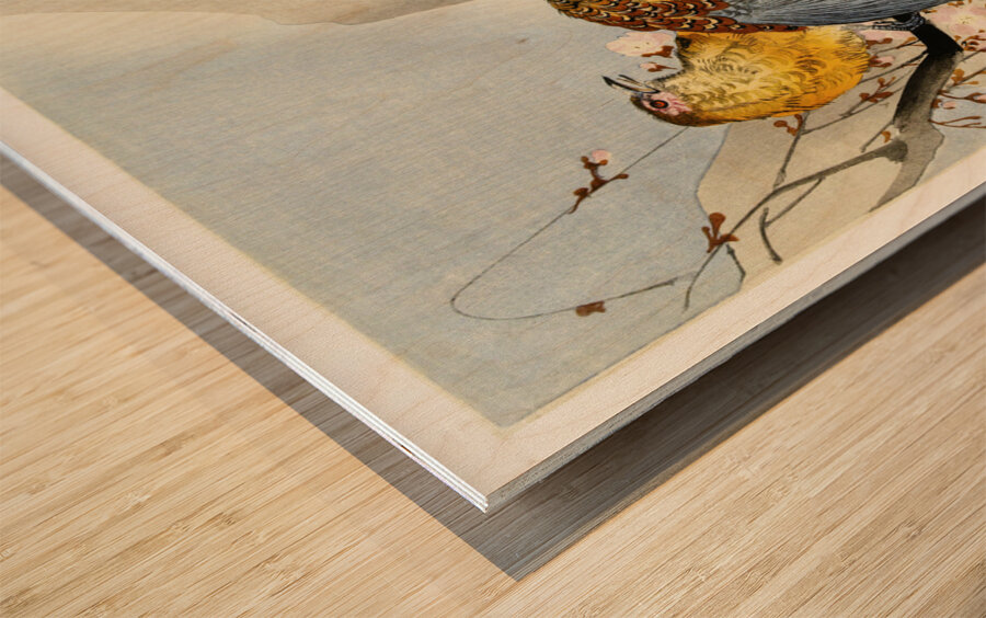 Pheasant couple and plum blossom 1900 - 1930 by Ohara Koson 1877-1945. Wood print