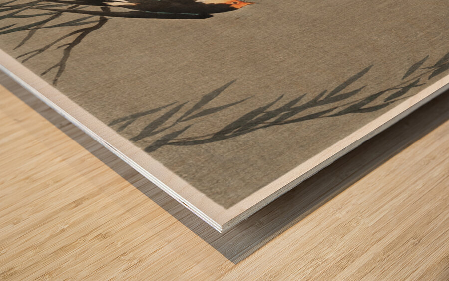 Three red-tailed swallows in dive 1900-1930 by Ohara Koson 1877-1945. Wood print