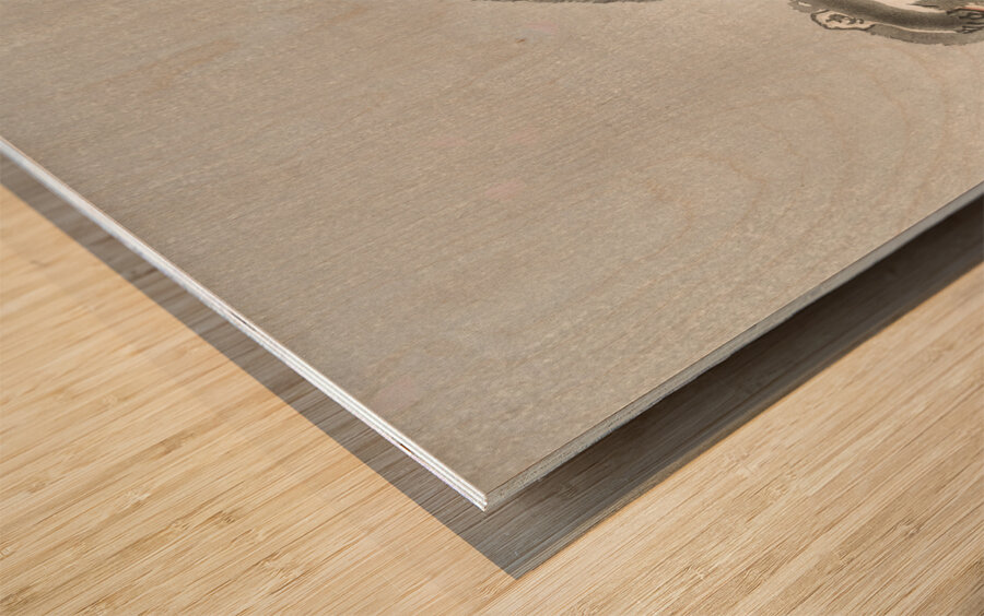 Two playing monkeys 1900 - 1930 by Ohara Koson 1877-1945. Wood print