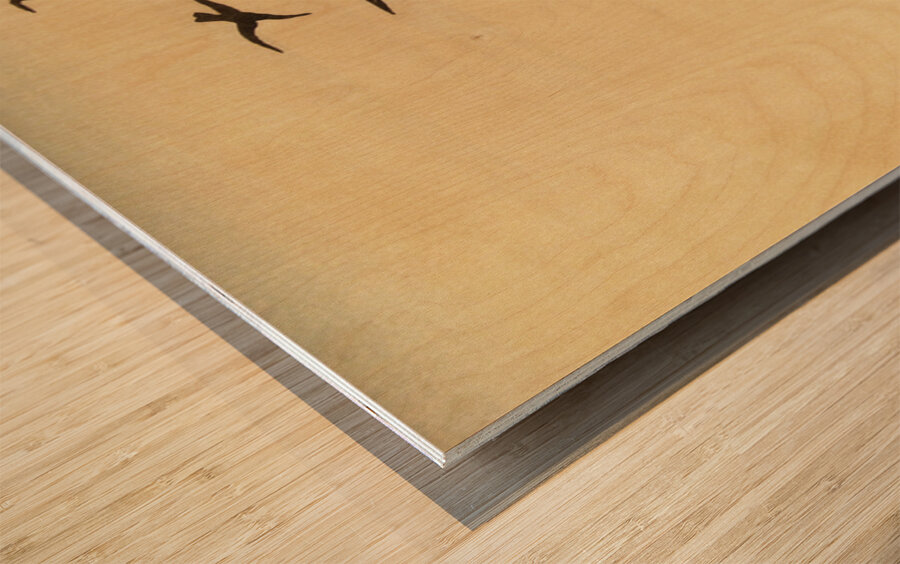 Crows in snow 1900 - 1936 by Ohara Koson 1877-1945. Wood print