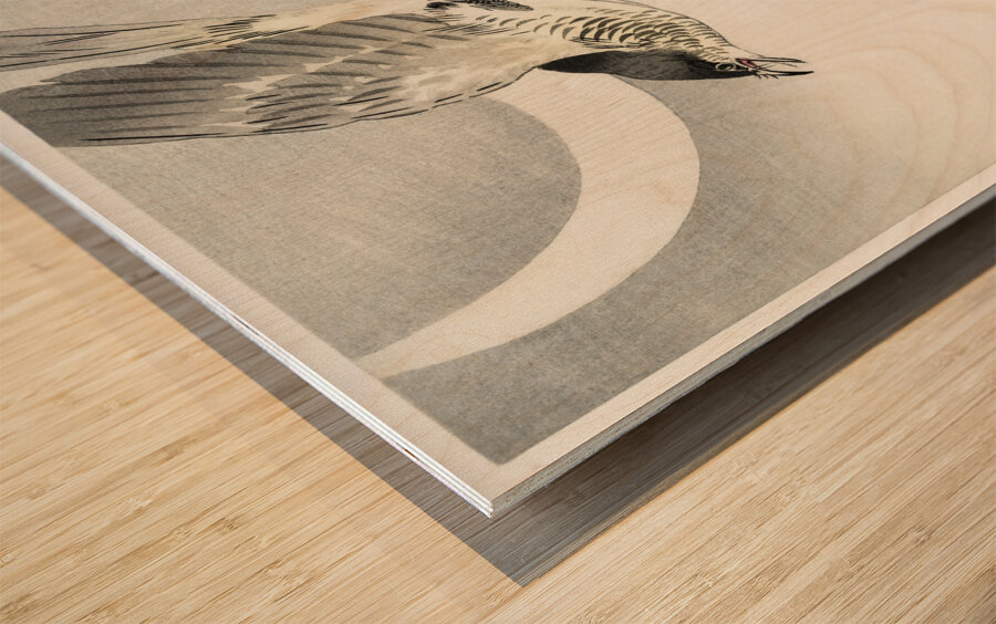 Cuckoo at crescent moon 1900 - 1930 by Ohara Koson 1877-1945. Wood print