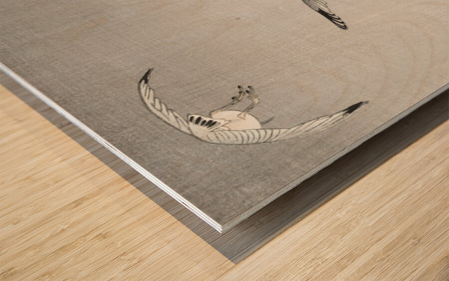 Three seagulls 1900 - 1936 by Ohara Koson 1877-1945. Wood print