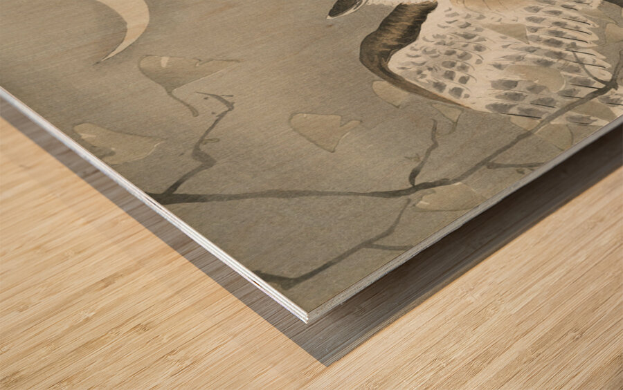 Long-eared owl in ginkgo 1900 - 1930 by Ohara Koson 1877-1945. Wood print