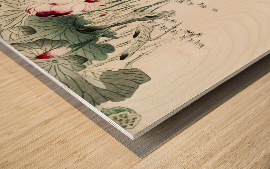 Frog and tadpoles 1900 - 1930 by Ohara Koson 1877-1945. Wood print