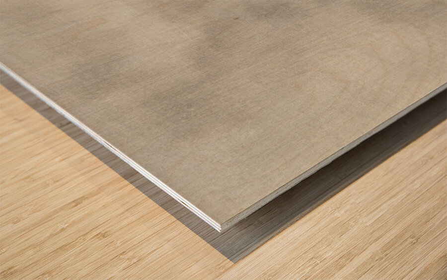 Geese in flight 1900 - 1930 by Ohara Koson 1877-1945. Wood print