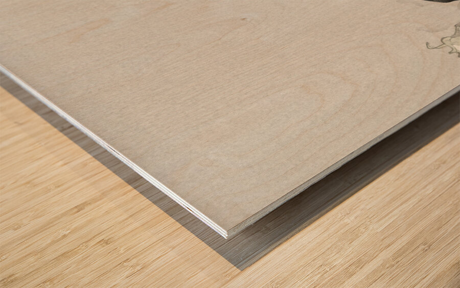 Swallow with Peony 1900 - 1930 by Ohara Koson 1877-1945. Wood print