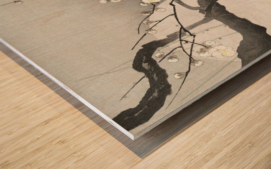 Plum blossom and full moon 1900 - 1936 by Ohara Koson 1877-1945. Wood print