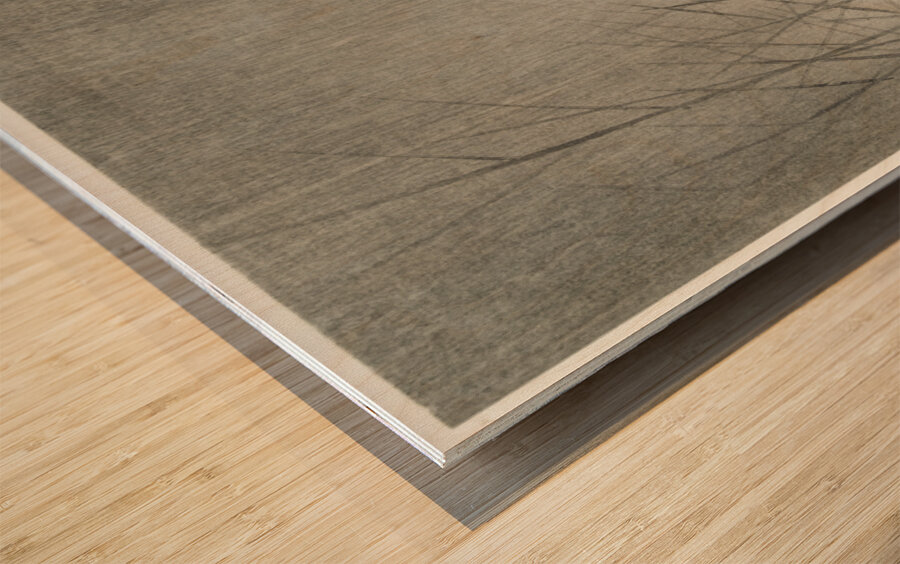 Moorhills between reeds 1900 - 1930 by Ohara Koson 1877-1945. Wood print