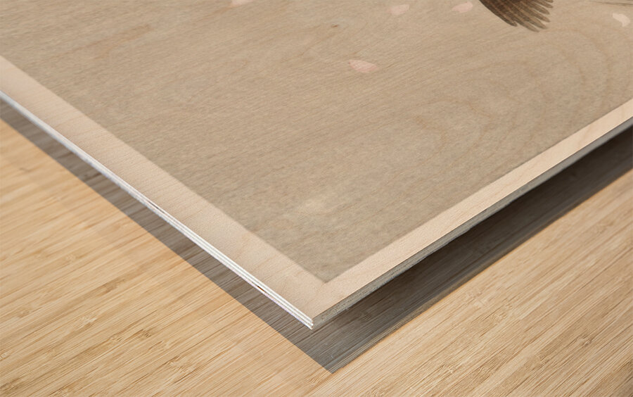 Tree sparrow with boy 1900 - 1936 by Ohara Koson 1877-1945. Wood print